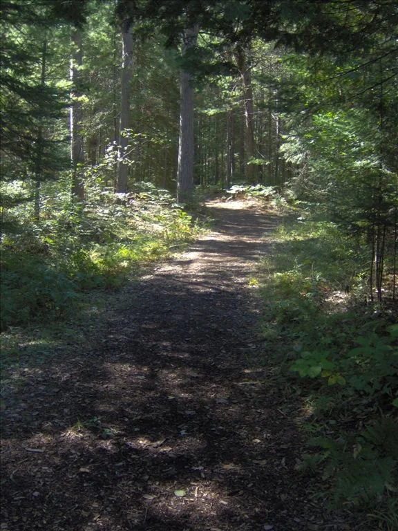 Norway Ridge Pathway 3.jpg