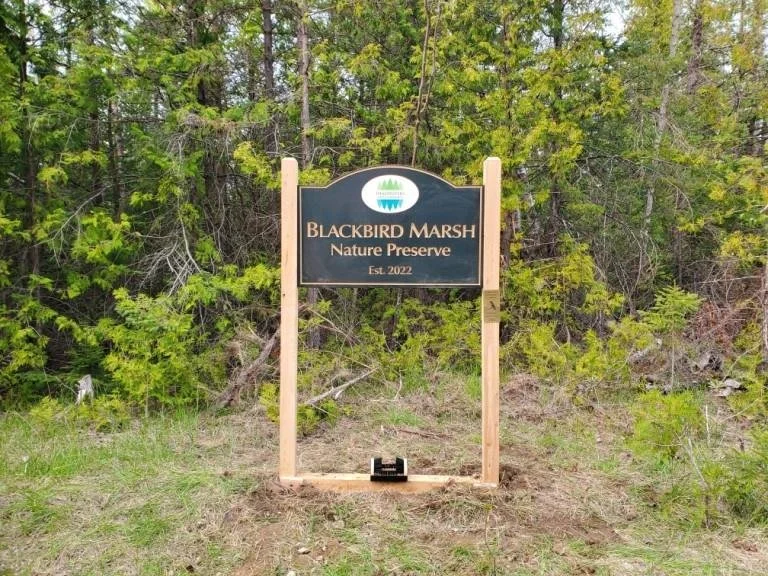 Blackbird Marsh 1.jpg