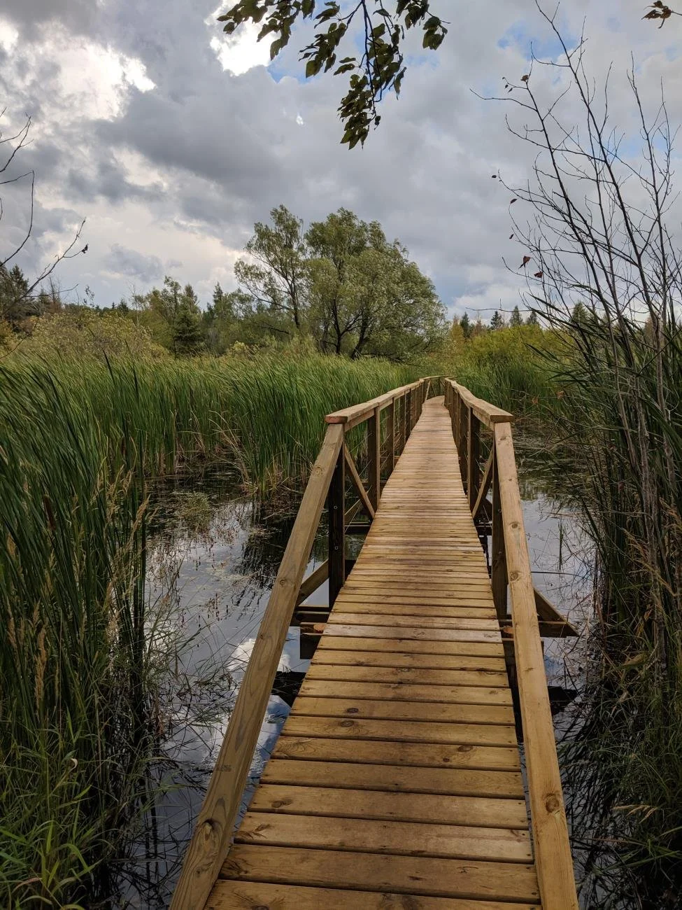 Duncan Bay Nature Preserve 3.jpg