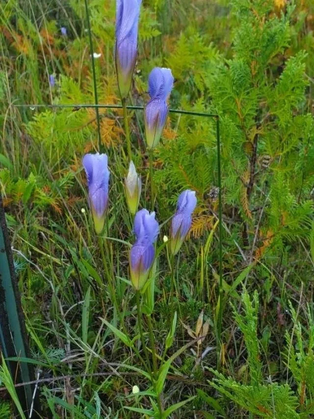 Hess Nature Preserve 7.jpg