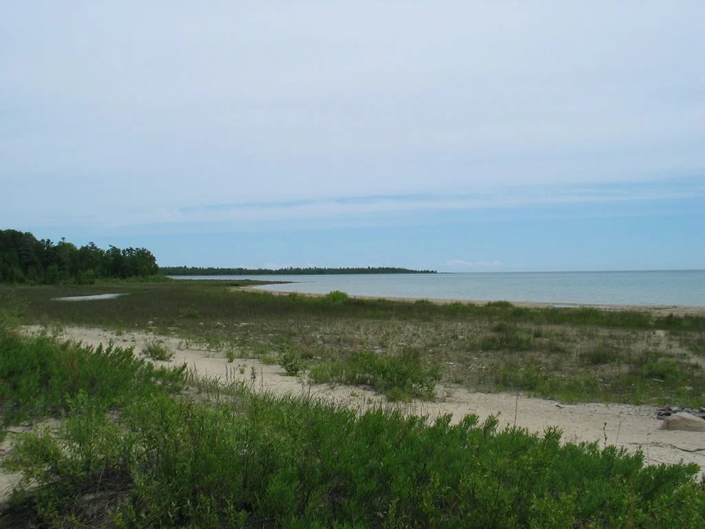 Besser Natural Area 1.jpg