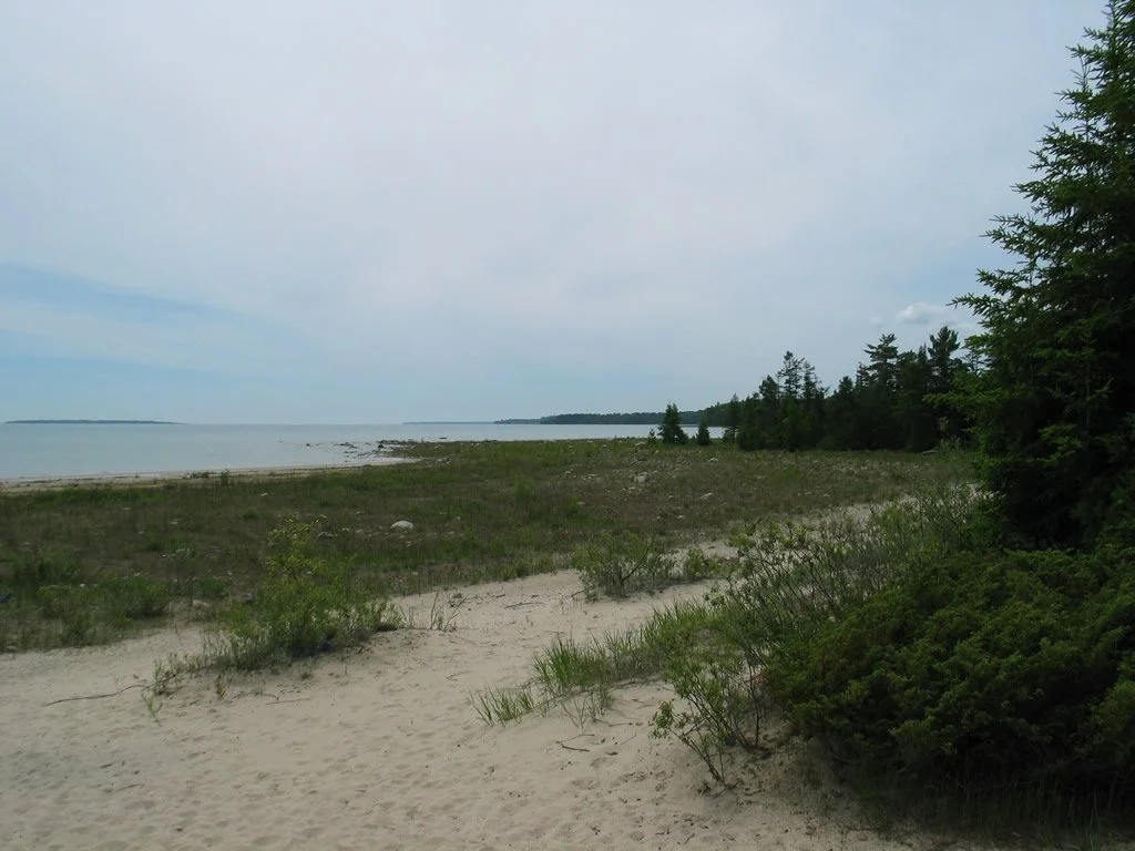 Besser Natural Area 2.jpg