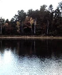Besser Natural Area 3.jpg