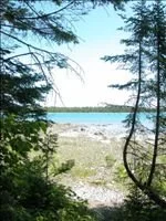Besser Natural Area 4.jpg