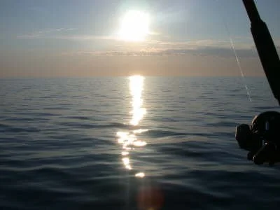 Blue Bird Charters