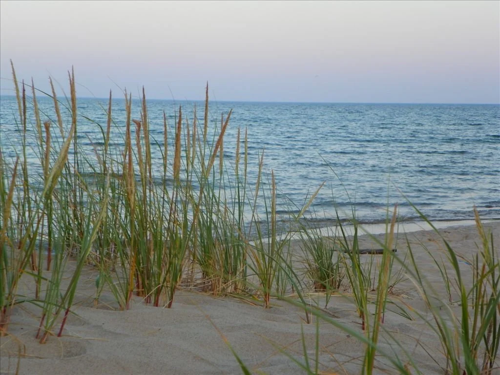 Sandcastle Beach Resort 4.jpg