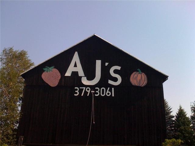 AJ's Berry Farm 1.jpg