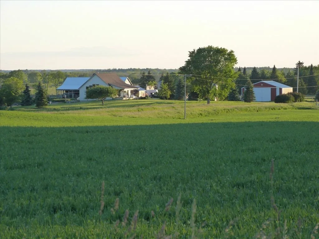 Leeseberg Farms 3.jpg