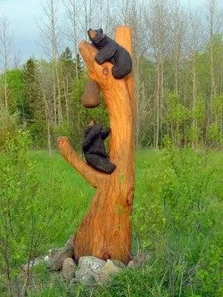 Bear Crossings
