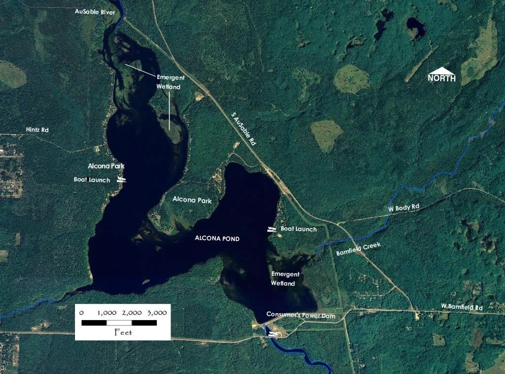 Alcona Pond