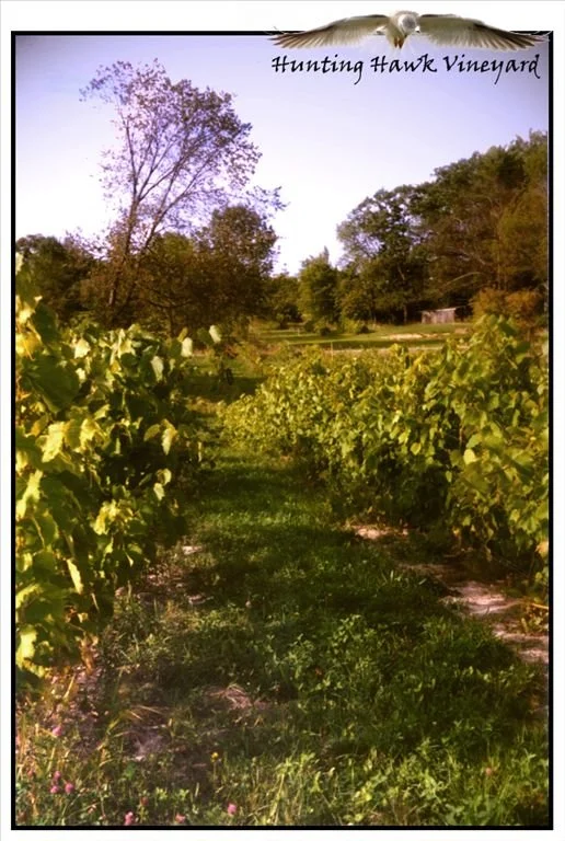 Rose Valley Winery