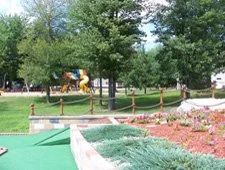 Saginaw Bay Resort