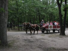 Wilderness Resort