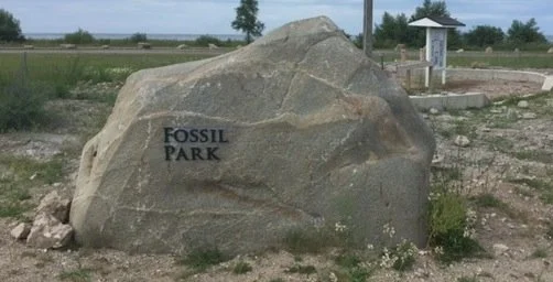 Rogers City Fossil Park 2.jpg