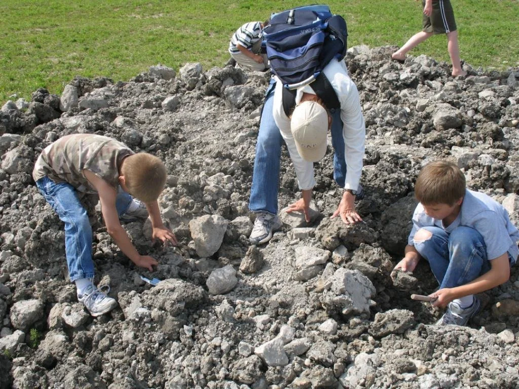 Rogers City Fossil Park