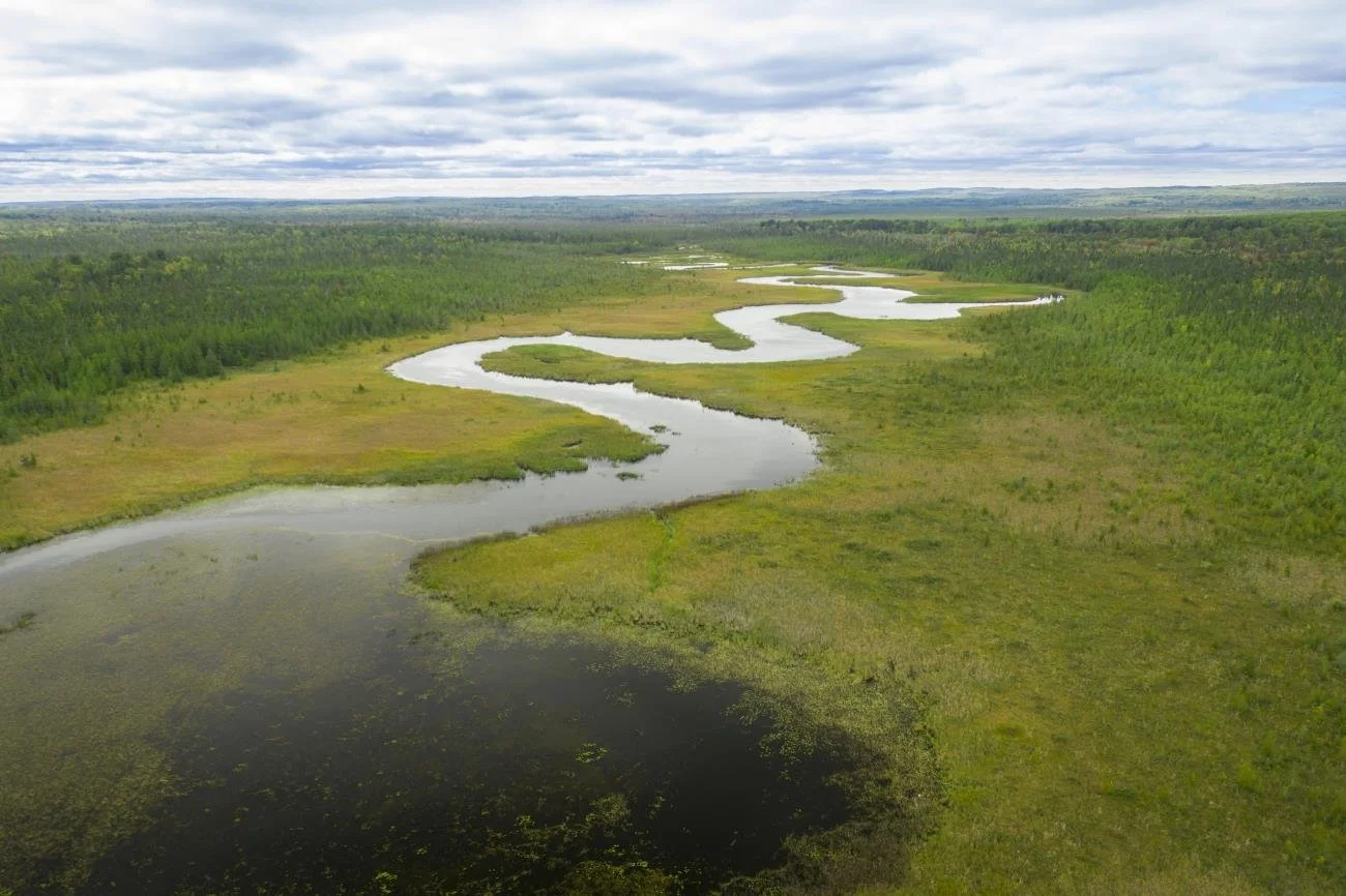 Hubbard Lake South Bay 4.jpg