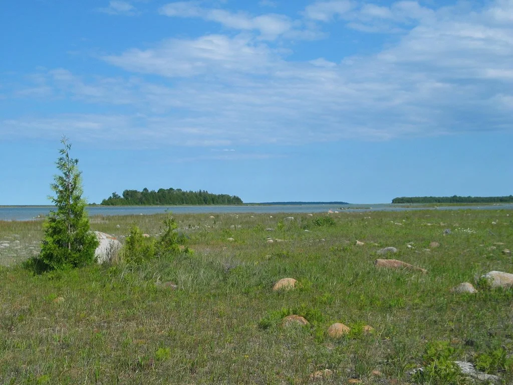 Alpena Township Park 1.jpg