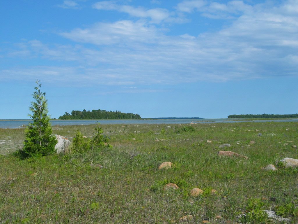 Alpena Township Nature Preserve