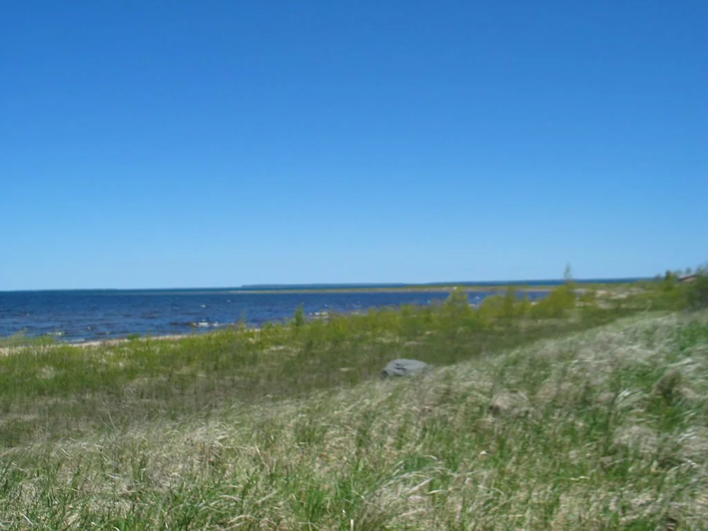 Cecil Bay Park 1.jpg