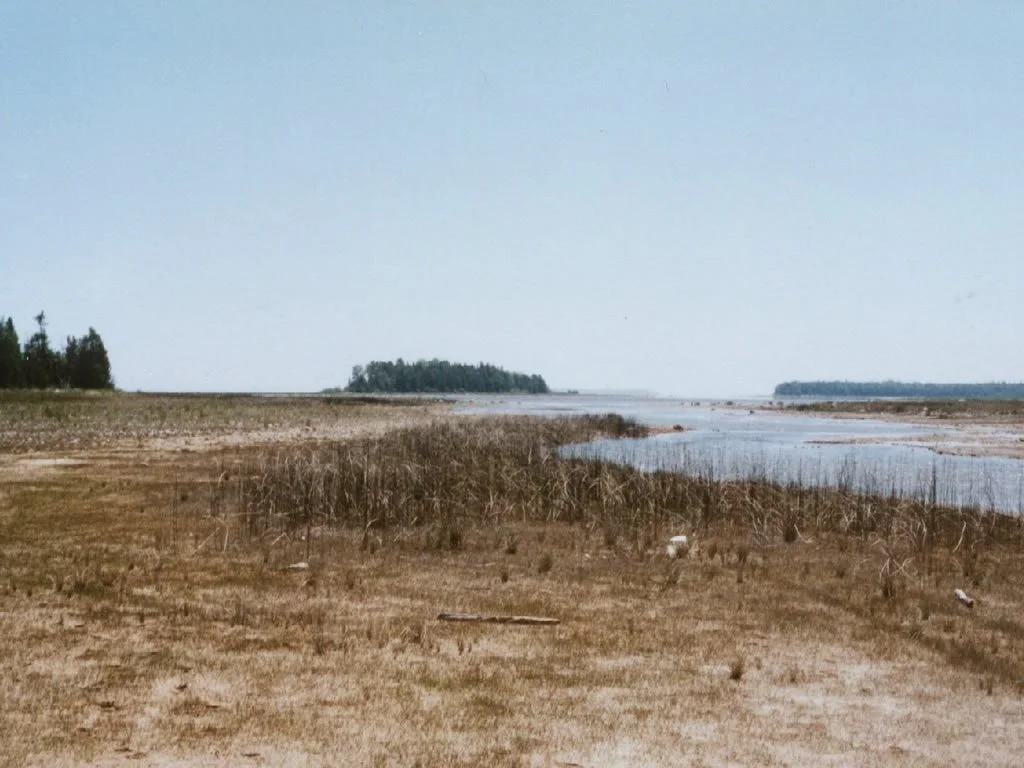 El Cajon Bay 2.jpg