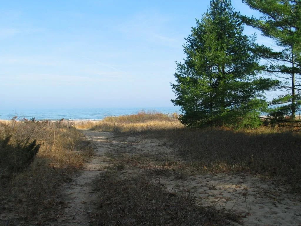 MDOT Roadside Park Greenbush 1.jpg