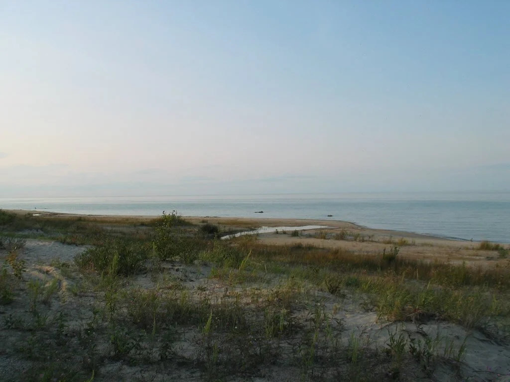 MDOT Roadside Park Hammond Bay 2.jpg