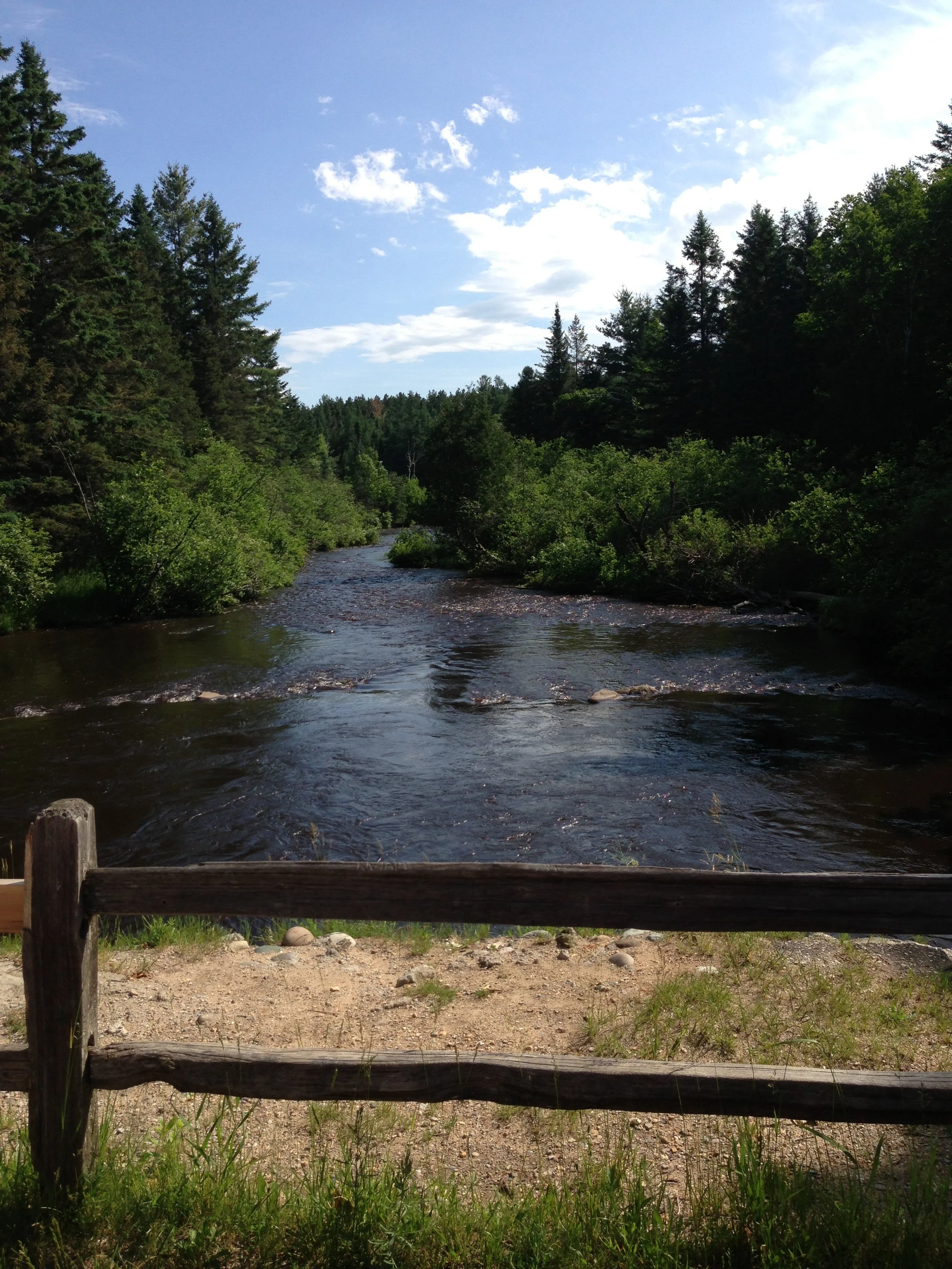 Pigeon River Wildlife Preserve 2.JPG