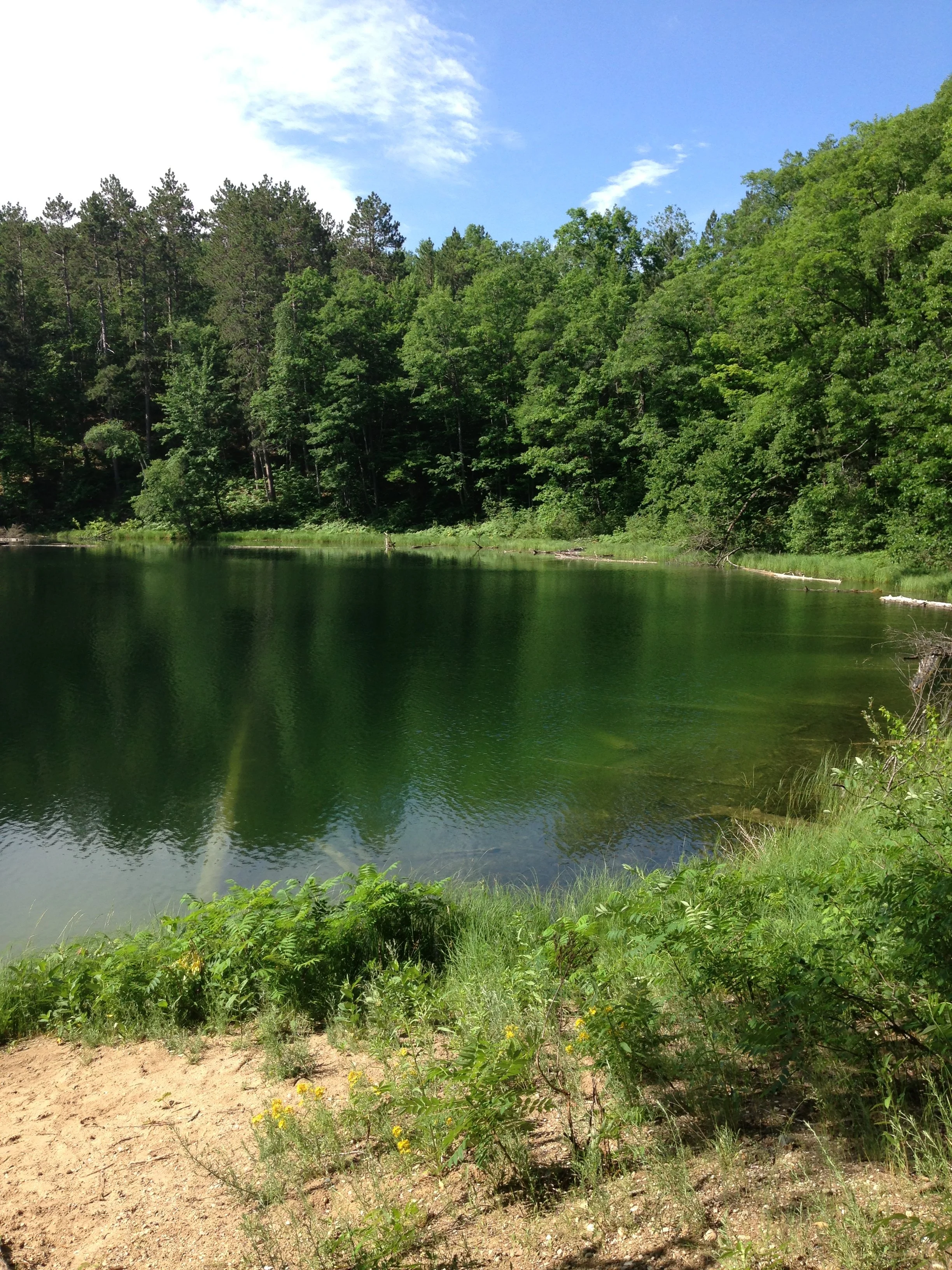 Pigeon River Wildlife Preserve 5.JPG