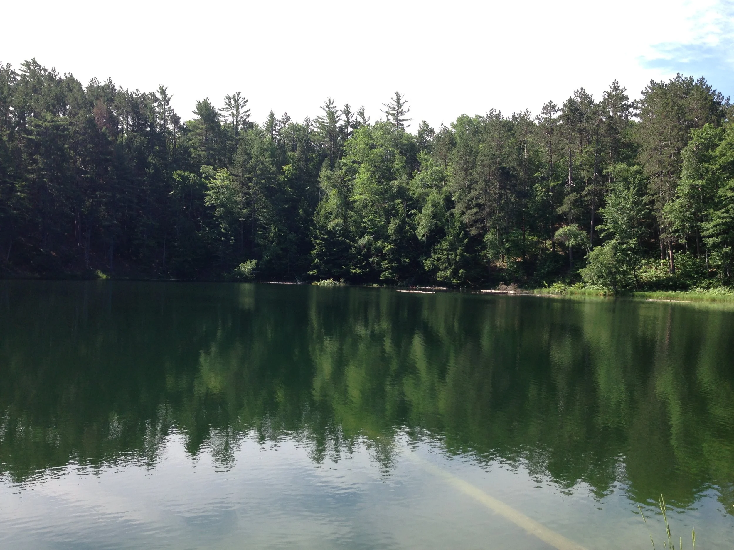 Pigeon River Wildlife Preserve 6.JPG