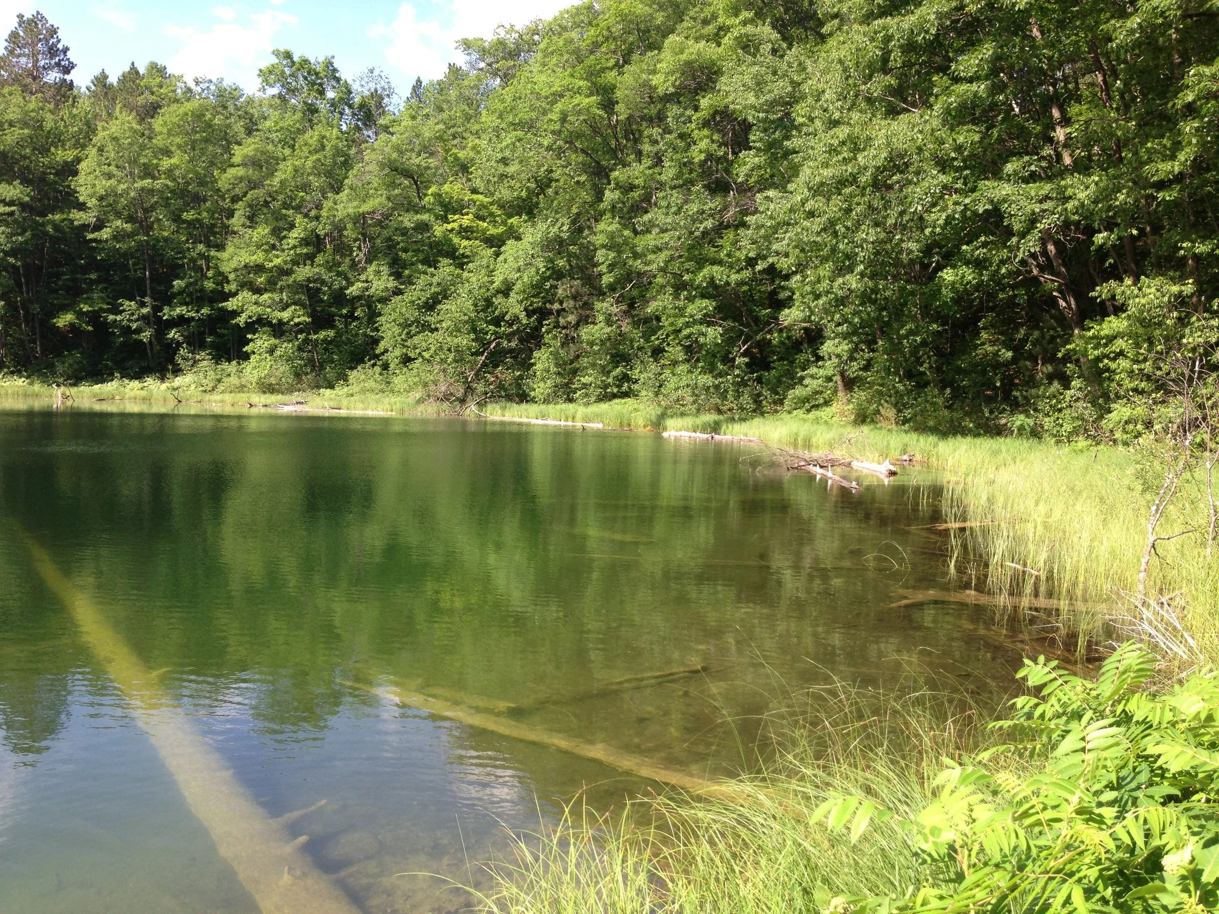 Pigeon River Wildlife Preserve 7.JPG