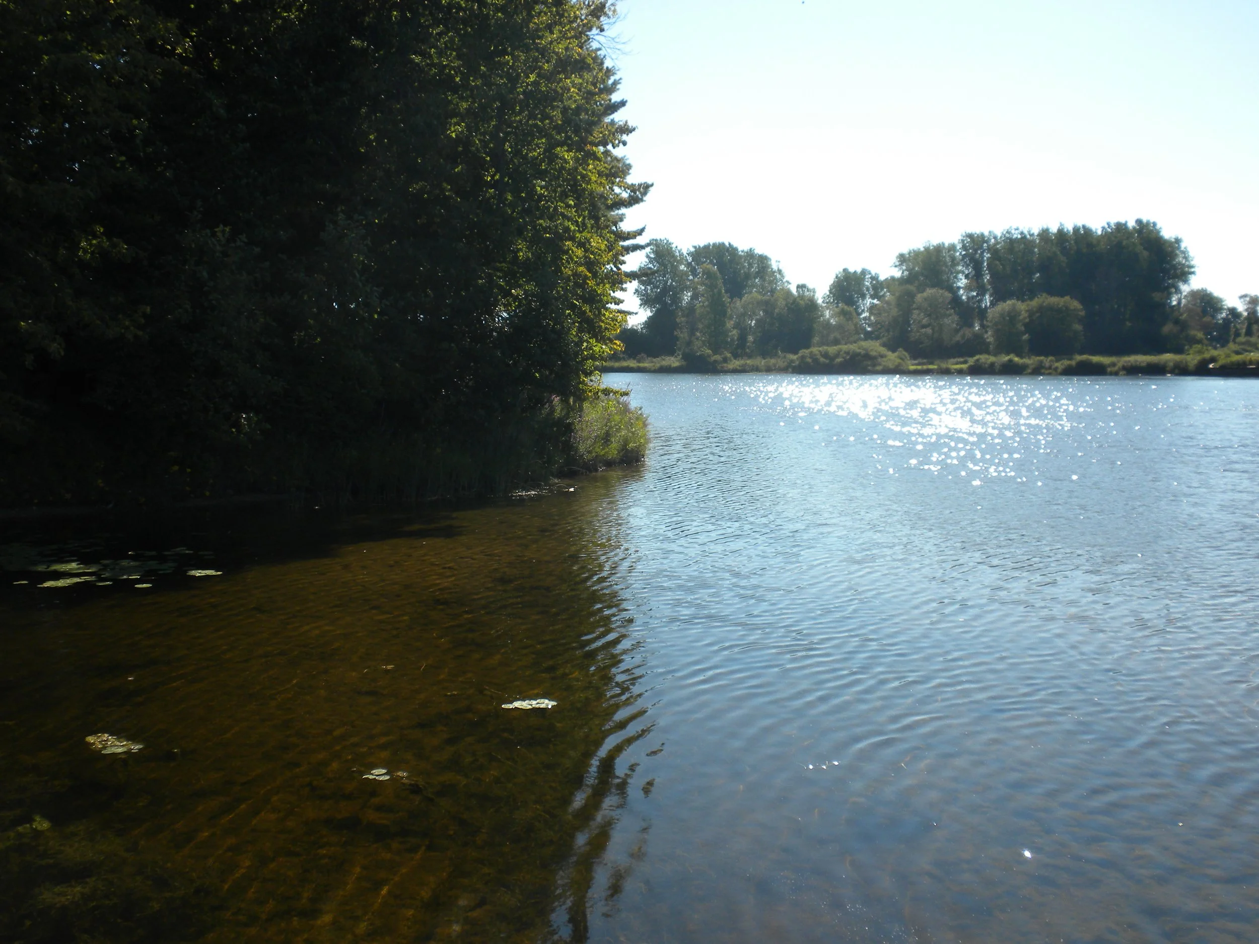 Riverbank Park 2.JPG