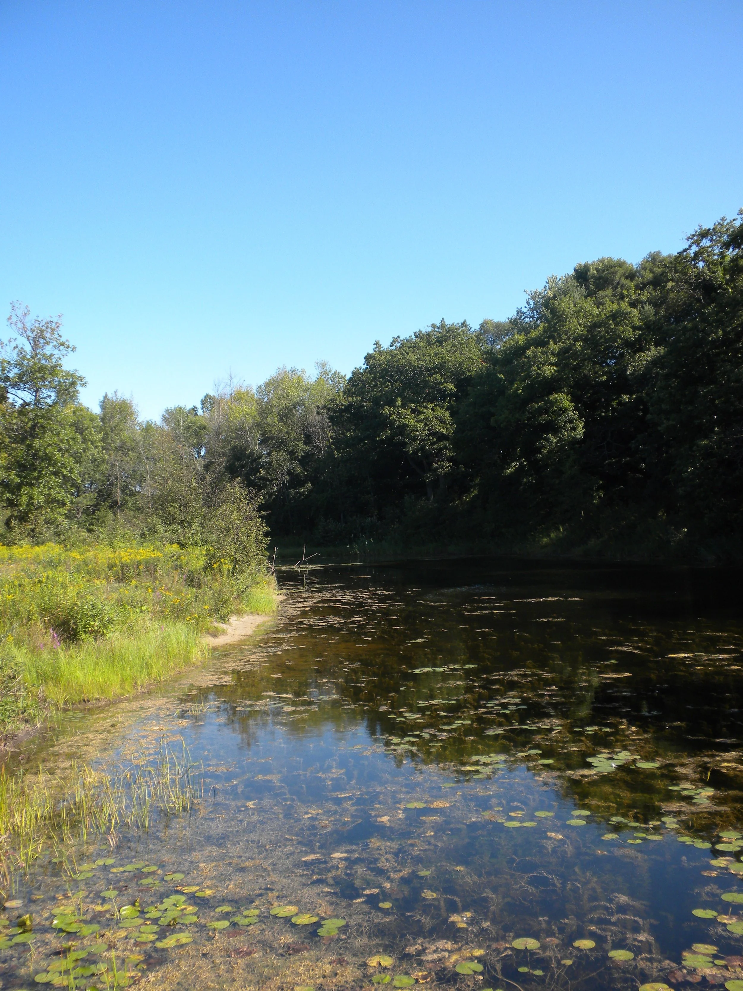 Riverbank Park 3.JPG