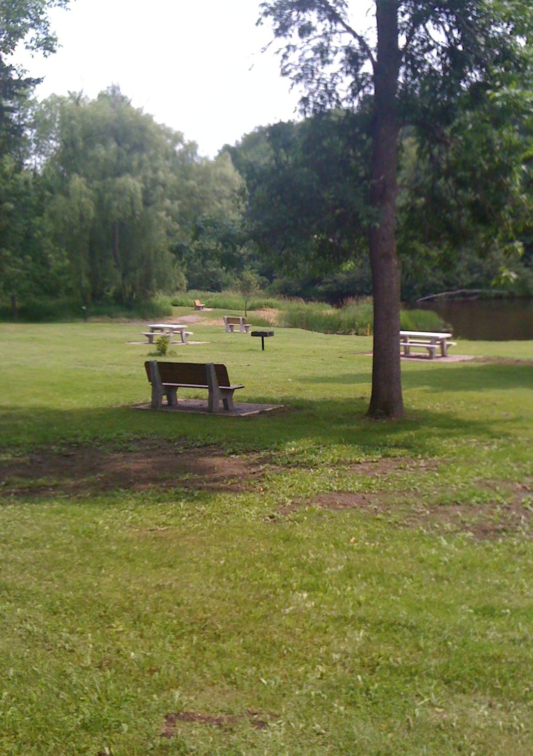 Wolf Creek Park 2.JPG