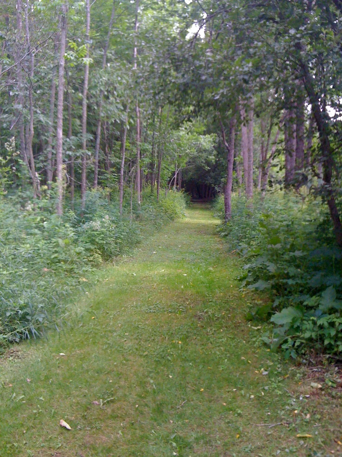 Wolf Creek Park 3.JPG