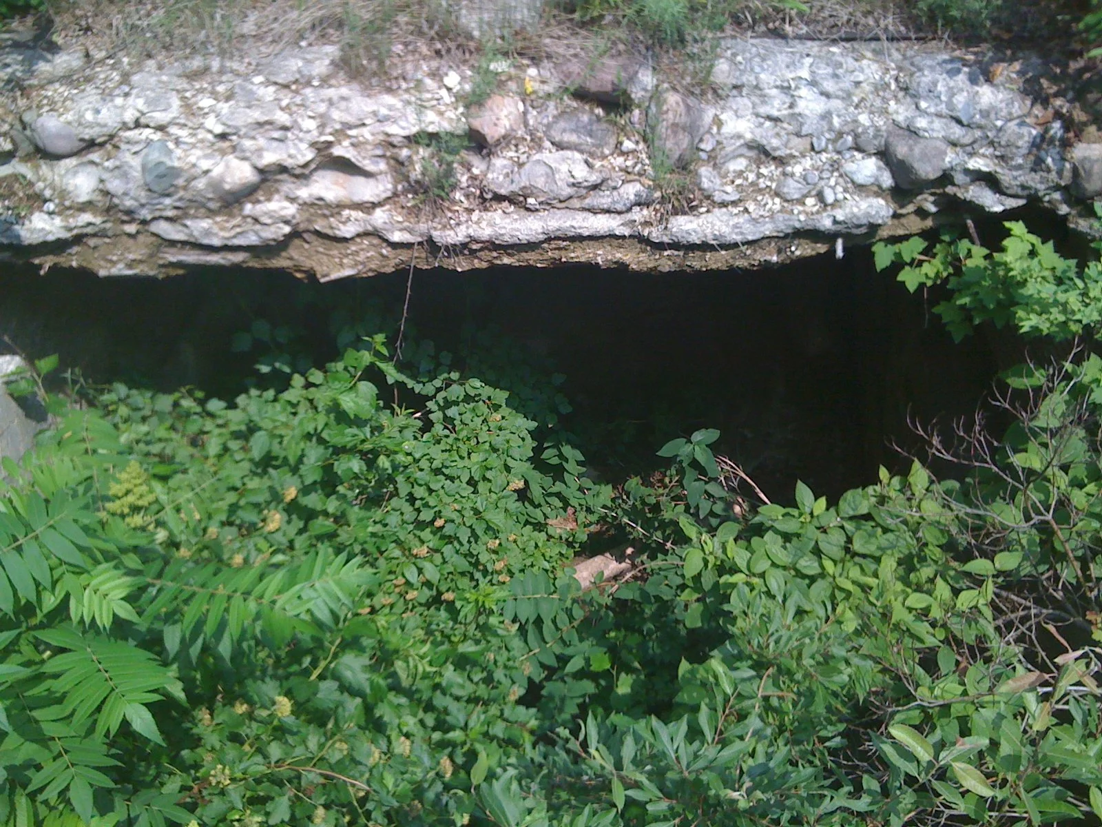 Wolf Creek Park 5.JPG