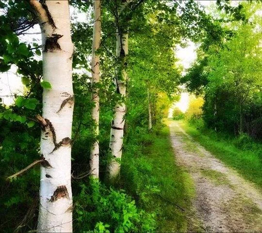 Sandy Hook Nature Trail