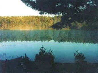 Horseshoe Lake Campground