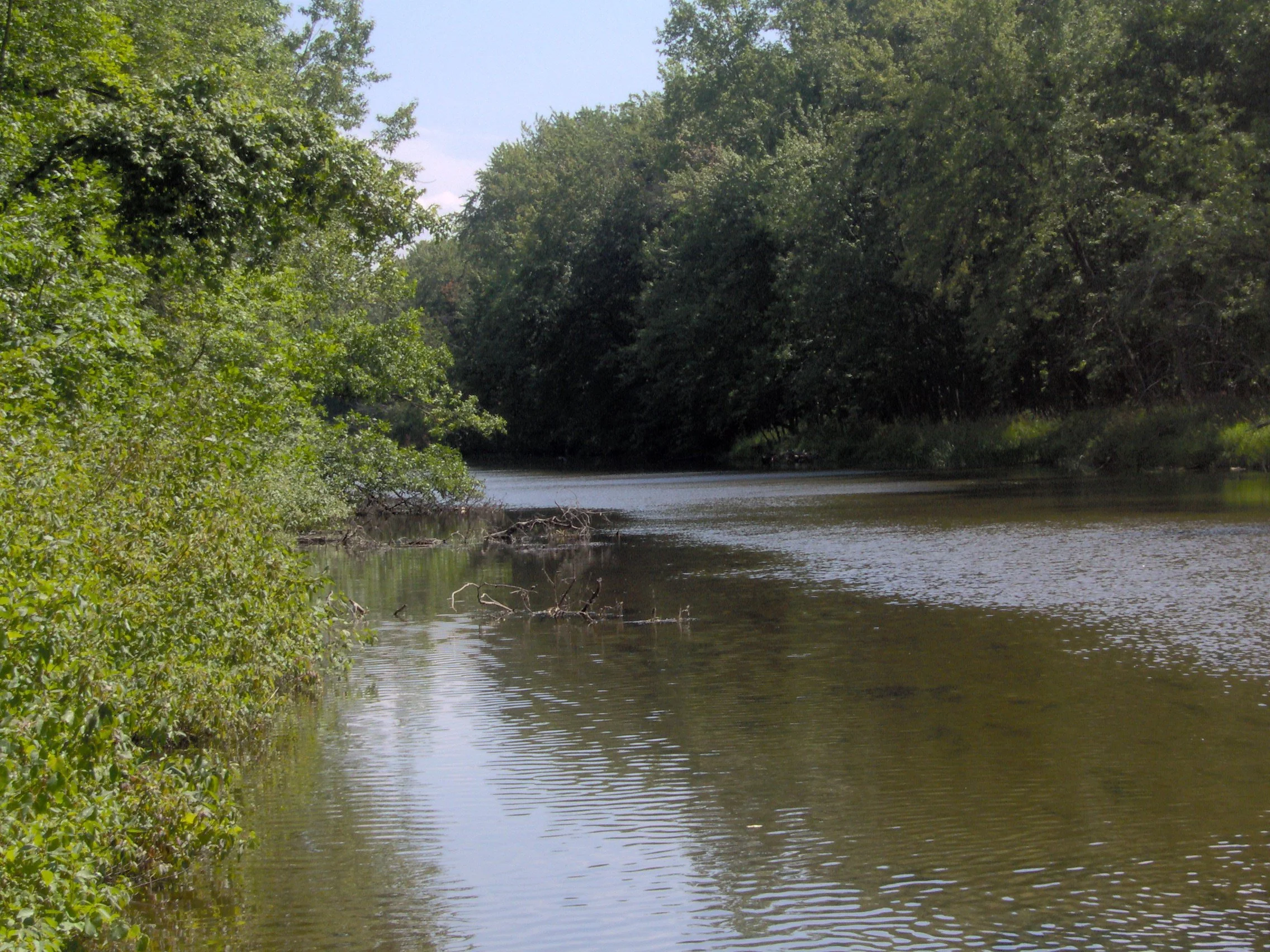 Thunder Bay River State Forest Campground 2.jpg