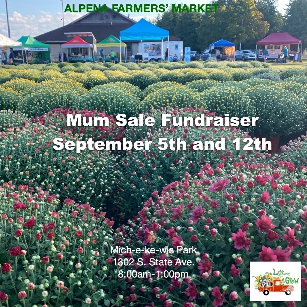 Fall Mum Fundraiser