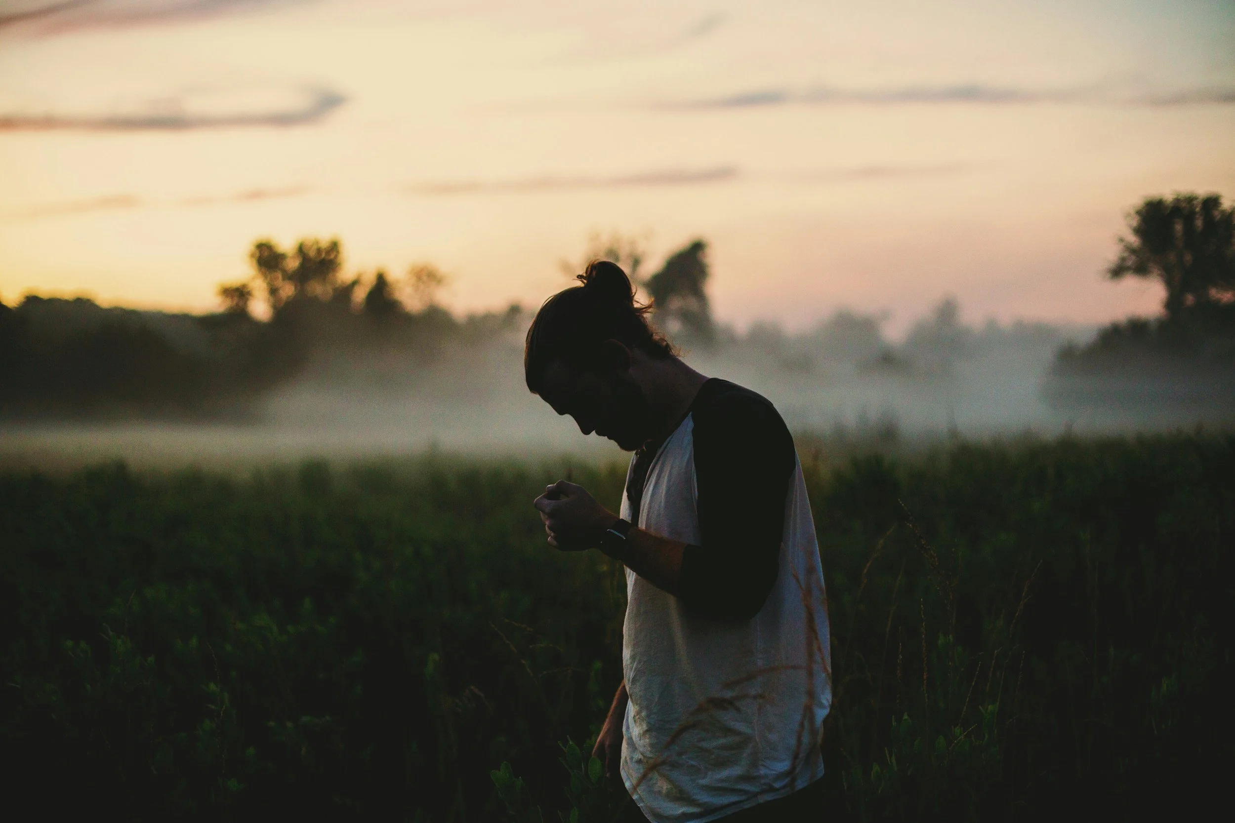 A person with a bun hairstyle wearing a light-colored shirt, standing in a field during sunset, looking down at their phone.