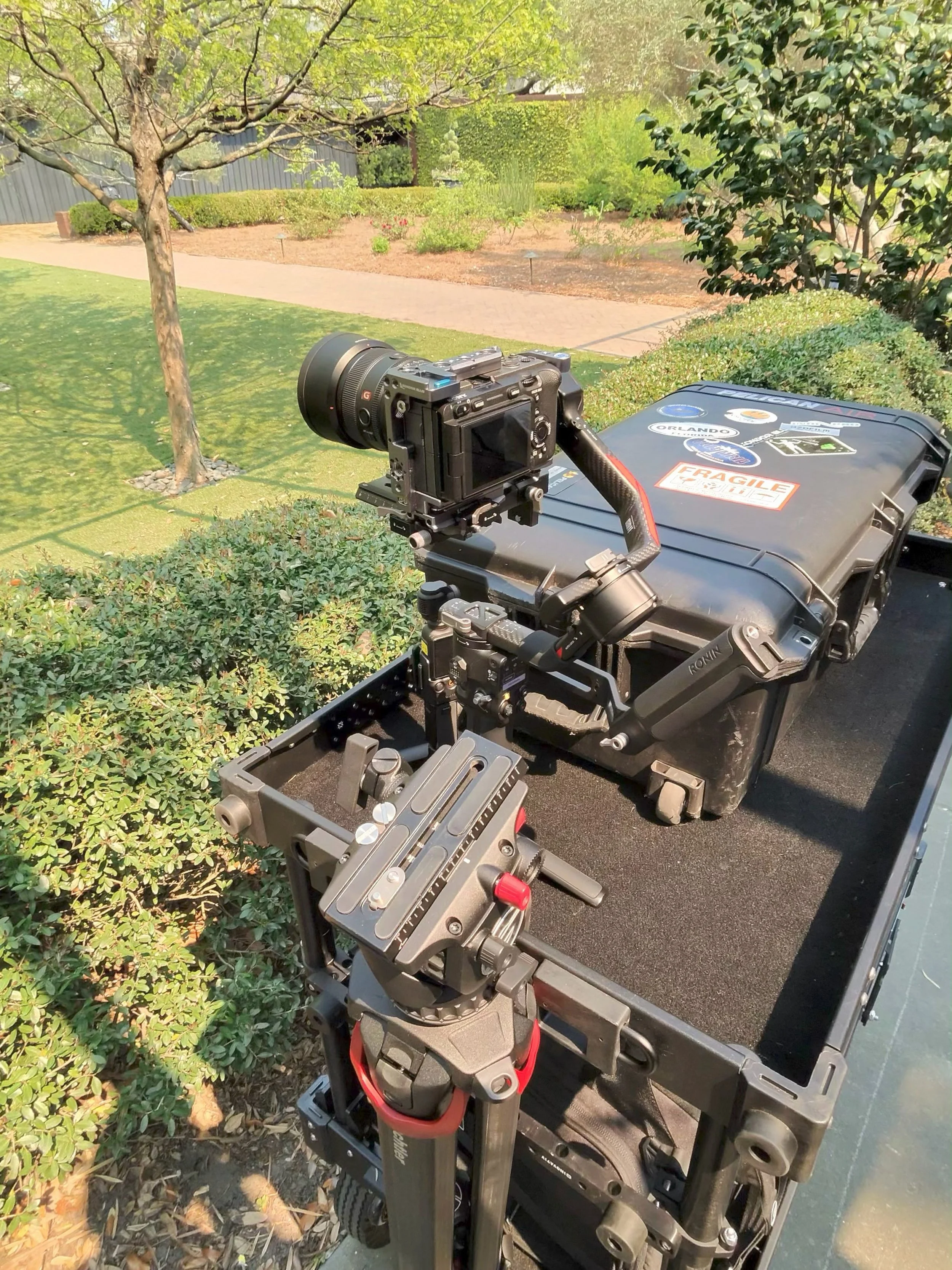 Camera mounted on a tripod in a garden, with lush greenery, trees, and a pathway in the background.