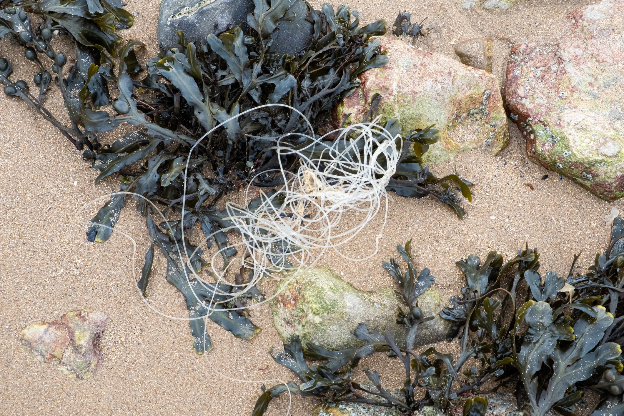 Ghost gear, fisheries waste and the push for better solutions