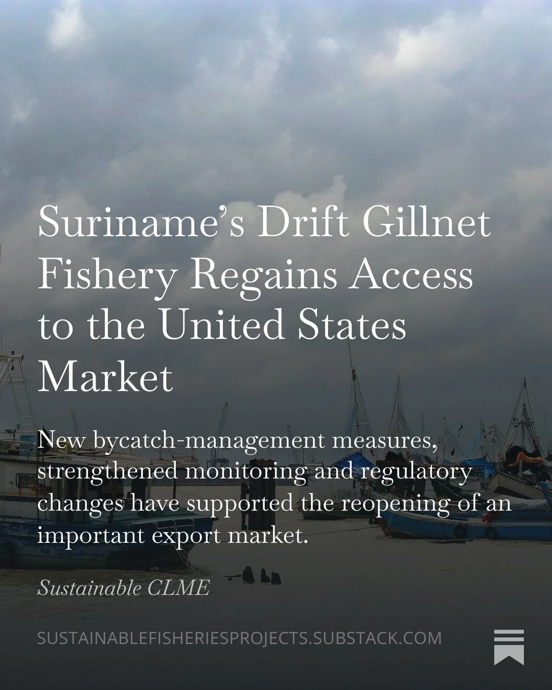 A major milestone for Suriname&rsquo;s fishing sector!

Suriname&rsquo;s drift gillnet fishery has regained access to the United States market following the introduction of new measures to strengthen marine mammal bycatch management.

This means that