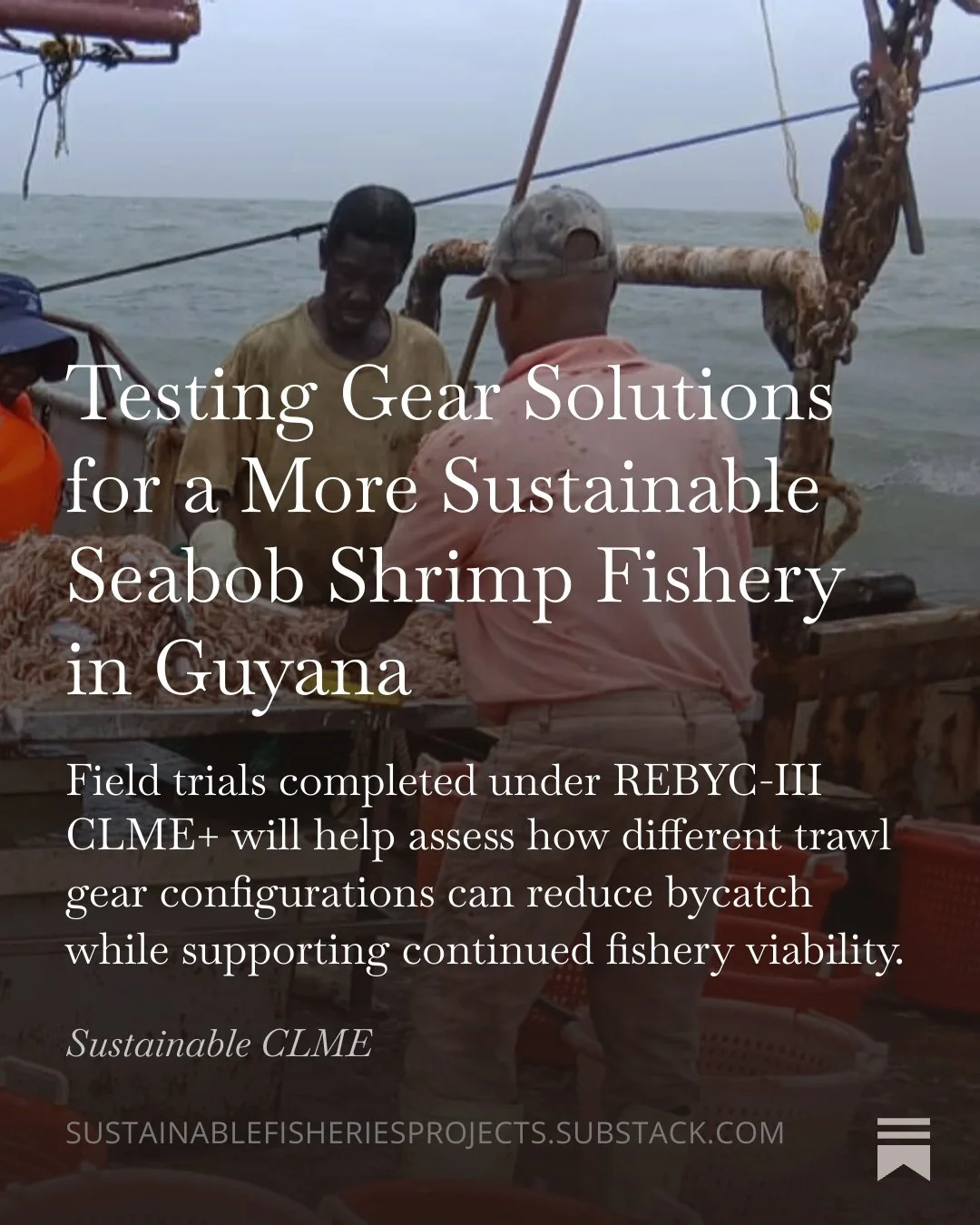 Field Update
---

In June 2026, REBYC-III CLME+ partners completed nine days of at-sea gear selectivity trials aboard industrial seabob shrimp trawlers in Guyana.
The fieldwork tested several trawl gear configurations under commercial fishing conditi