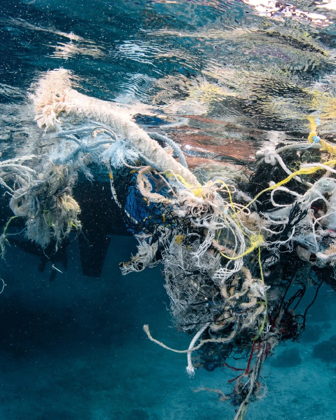 Ghost gear pollution, or Abandoned, Lost or Otherwise Discarded Fishing Gear (ALDFG), continues to catch long after it leaves a fisher&rsquo;s hands, adding strain to Caribbean fish stocks, vulnerable marine species and the habitats they depend on, w