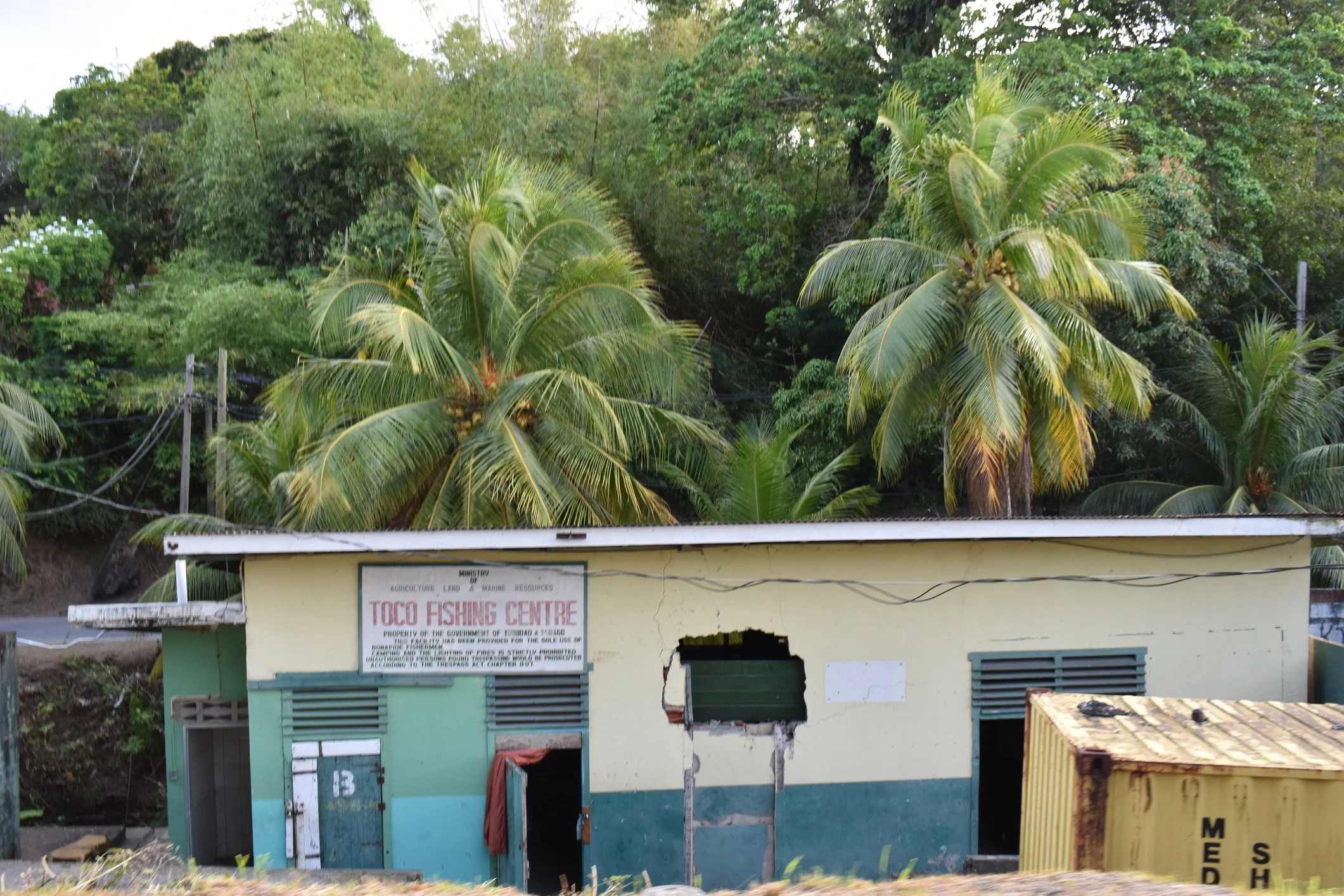 A small, yellow building with a sign reading 'Toco Fishing Center' in front of a forested area with tall palm trees and dense green foliage.