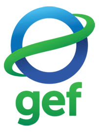 The Internet Explorer logo featuring a stylized blue 'e' with a green orbit ring.
