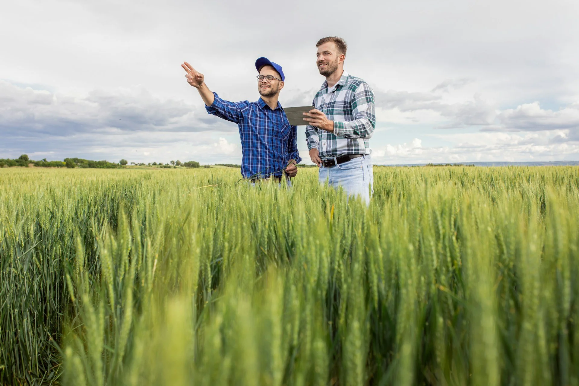 Two men standing in a green wheat field under a sky filled with clouds, one pointing into the distance while the other holds a tablet.