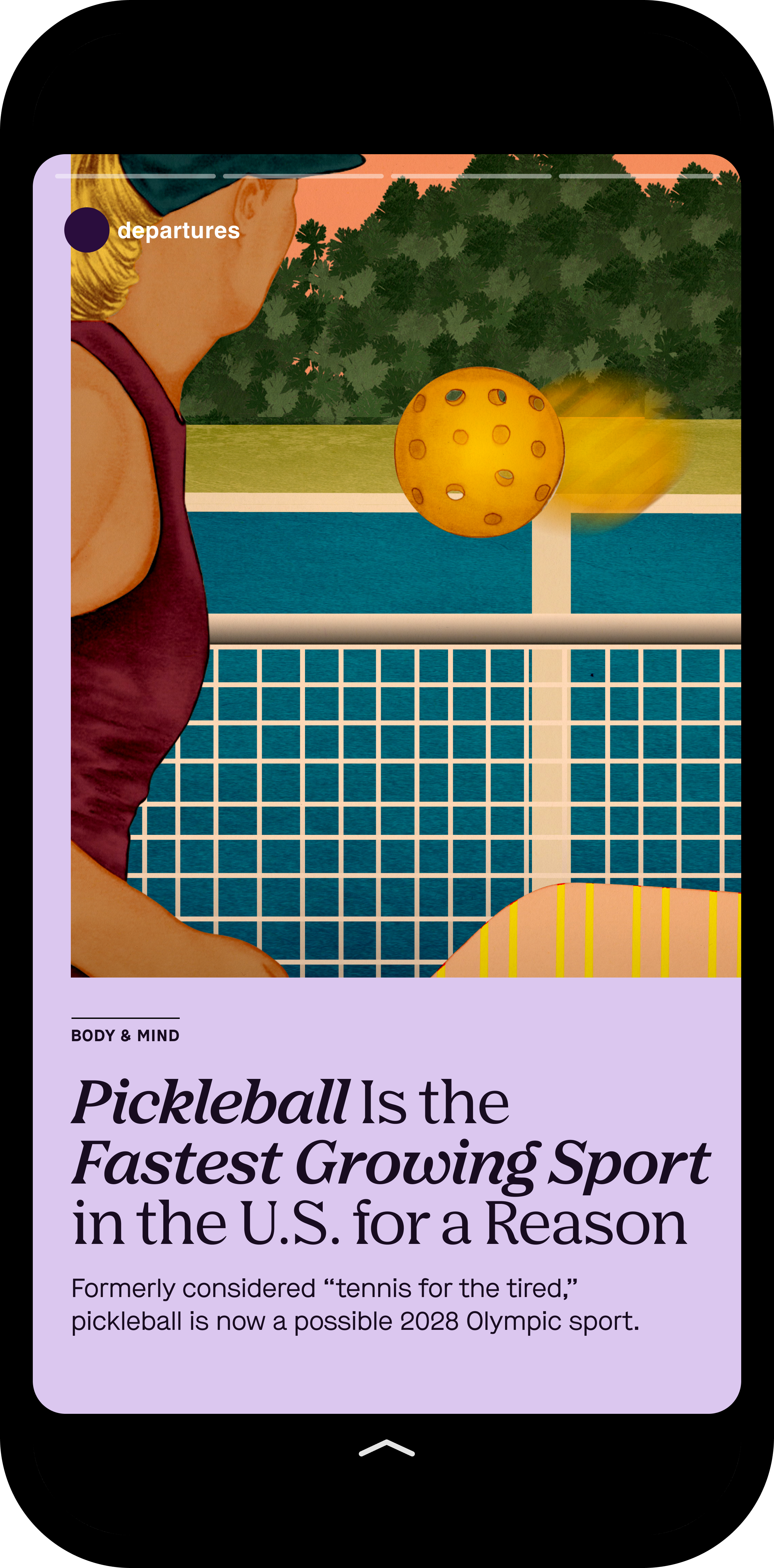 Pickleball Story Mockup.png