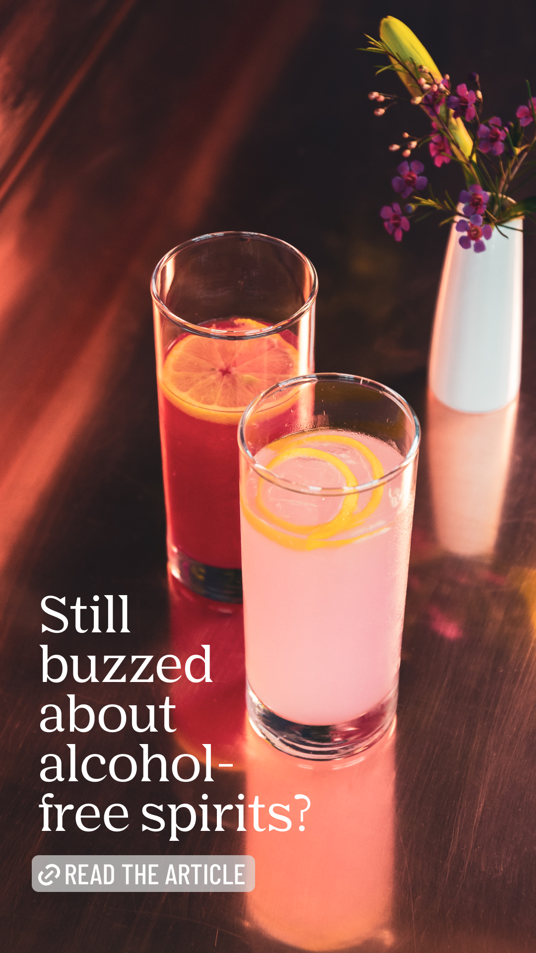 Wishlist Non-Alcoholic Spirits Story 9.png